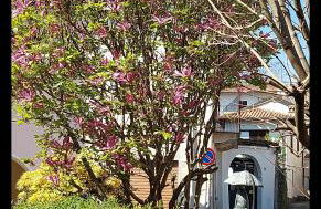 Il Gatto Ombrellaio - Gateway to Stresa, Lake Maggiore and Mountains - Foto 31