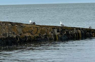 The Boat Cottage - private beach access - Foto 19