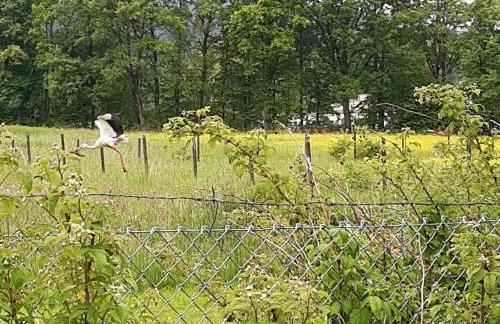 DOM W SUDETACH - Foto 25