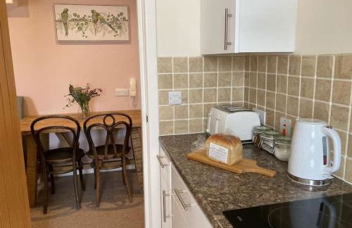 The Wild Daisy - Foto 18