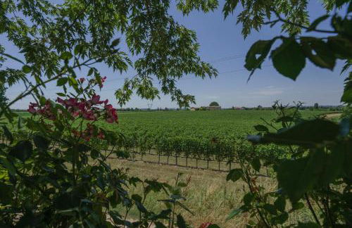 La Casina Apartment - con giardino e piscina - Foto 26