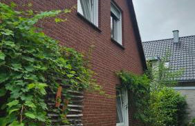 Haus am See - Urlaub im Herzen des Münsterlands - Foto 9