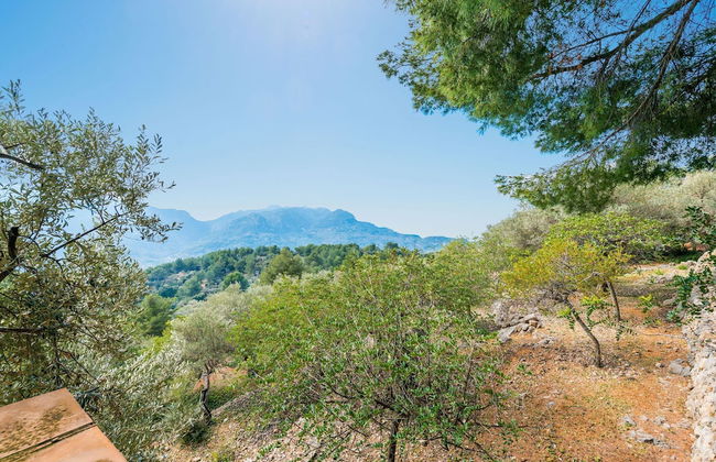 S Olivaret Fornalutx - Photo 22