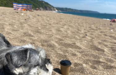 Dart Dream - Foto 30