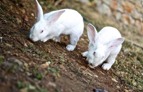 Stone Village Hotel Apartments - Foto 57