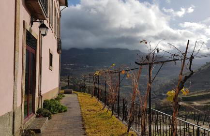 Quinta Barqueiros D'Ouro - Casa da Música - Photo 31