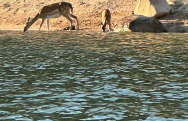 Costa De Madrid-San Martin de Valdeiglecias - Foto 32