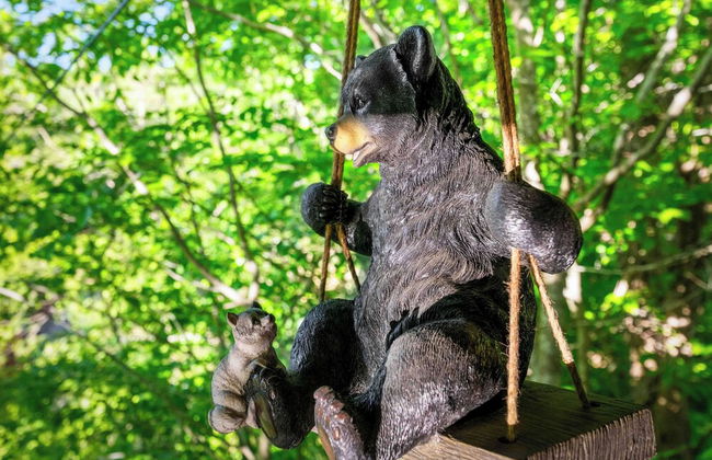 Rustic 3br Cabin Near Lake w/ Hot Tub! - Foto 33