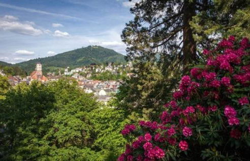 A&A Apartment Baden-Baden - Foto 24