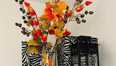 MXP Relax House - Foto 4