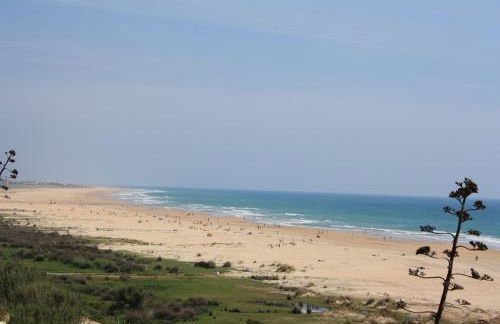 Sherryflat Moneo - Parking - Foto 23