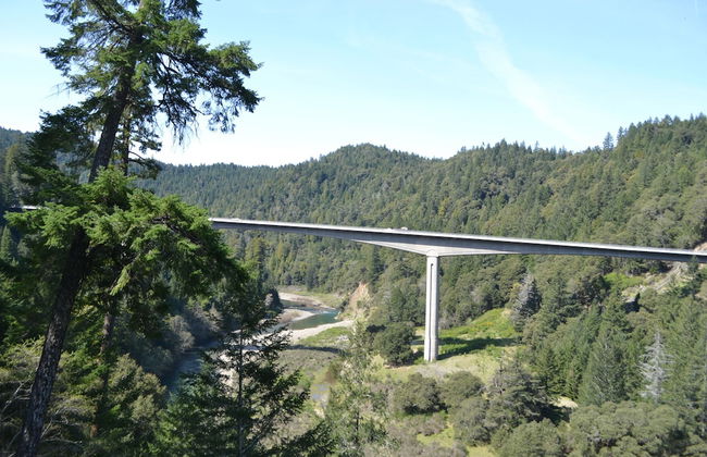 Redwoods River Resort - Foto 50