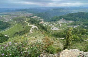 Devil Anse Home Rental - Photo 18