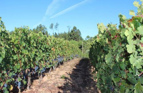 Casa da Tileira - Photo 31