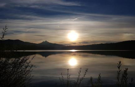 Alpenflair - Photo 17