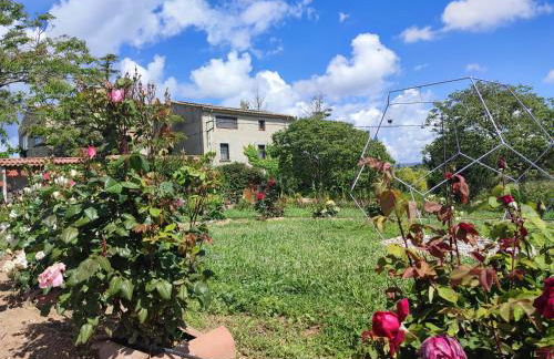 Romegosa Benestar - Foto 39