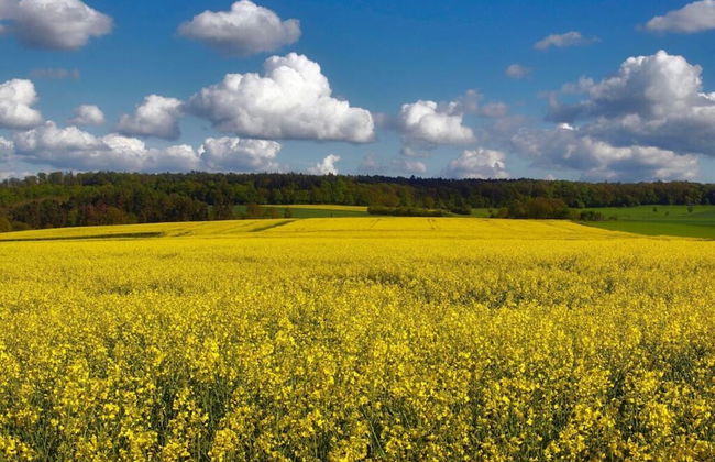 Apartment in Geiersthal - Foto 9
