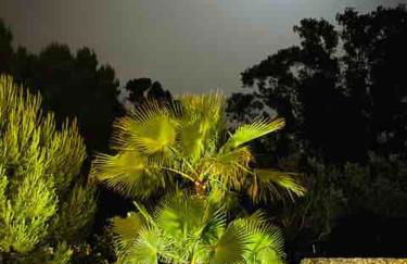 Luxury Home & Pool - Foto 72