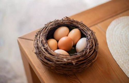 Menorca Agroturismo Llimpet - Foto 62