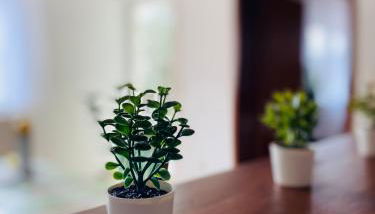 Ferienwohnung Antonia - Foto 4