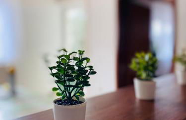 Ferienwohnung Antonia - Foto 4