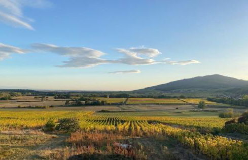 L'horizon des vignes - Foto 25