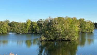 Direkt am See mit privatem Sandstrand - Foto 1
