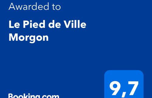 Le Pied de Ville Morgon - Photo 13