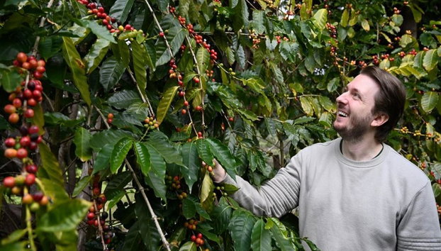 Découvrez les saveurs de Tamborine - Visite Premium - Photo 2