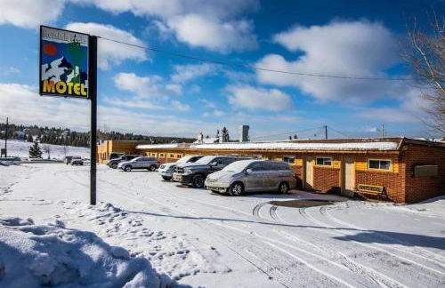 1 Spacious Private Room Dog Friendly Leadville - Foto 25