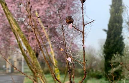Oltre la Siepe Apartment - Foto 53