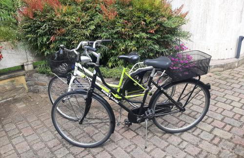 La BumBasina - Foto 14