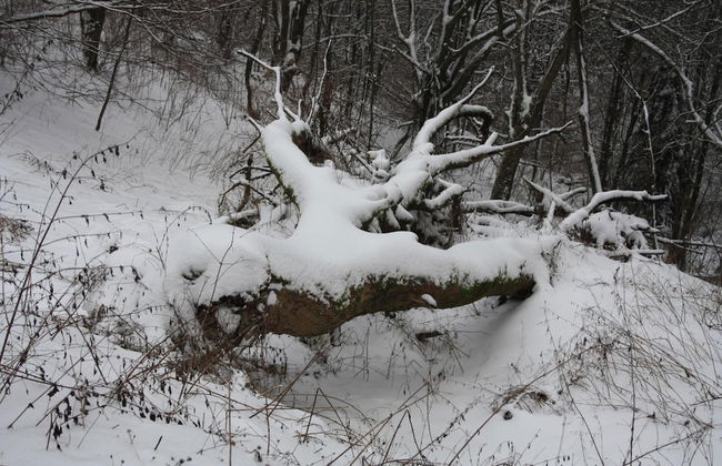Ferienpark Winterberg - Photo 59