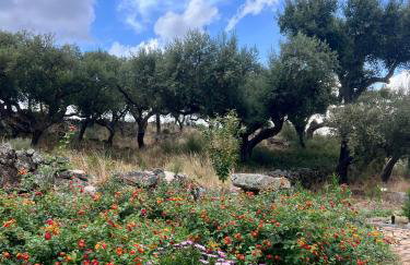 Casanova Country Villa - Foto 11