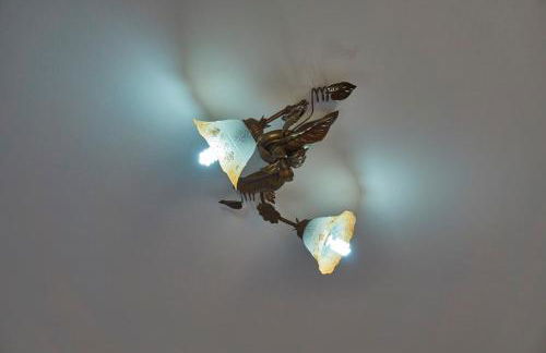 Azienda Agricola Perconti - Foto 109