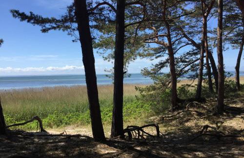 RESET ul. Ratibora 66 - Foto 6