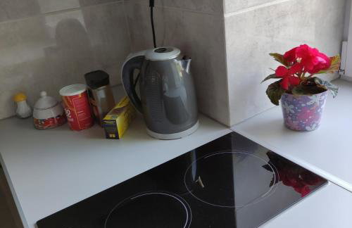 Apartament Pod Lipą - Foto 11