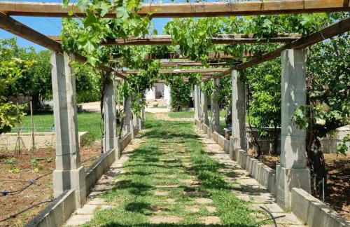 Villa CICIA - Foto 75