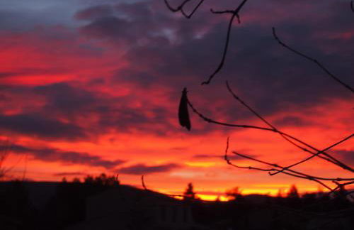 L'Islo Bamboo - Foto 23