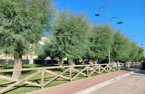 La Conchiglia - Foto 35