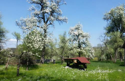 Schuler-Haus - Photo 29