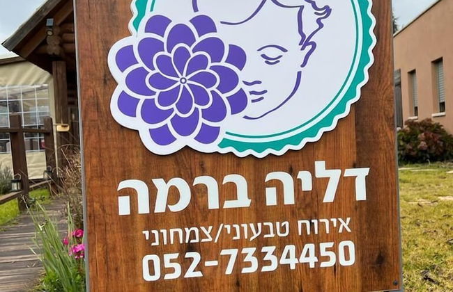 Dalia Barama - Photo 20