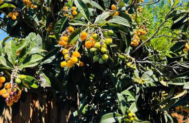 New Build House Laundry Kitchen Airconditation - Photo 17