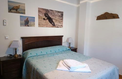 Águila Real - Foto 10