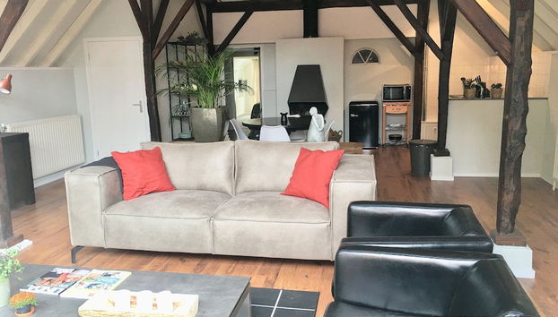 Boutique Holiday Home in Nieuwleusen near Forest - Foto 5, Sala de estar