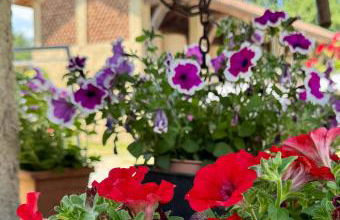 Agriturismo Brusignone - Foto 51