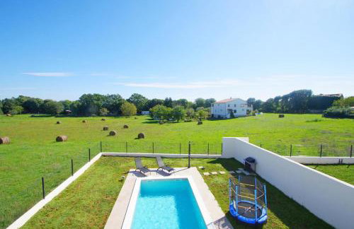 Villa with private pool in village Šišan - Foto 25