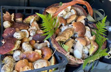 Agriturismo cergallina - Photo 40