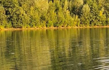 Natur Oase 2 - Foto 8