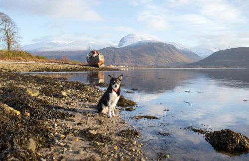 Room with a view - Photo 58